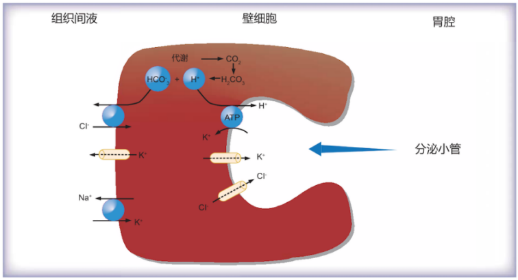 永劫无间科技