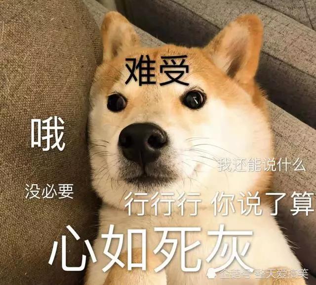 低价卡盟辅助