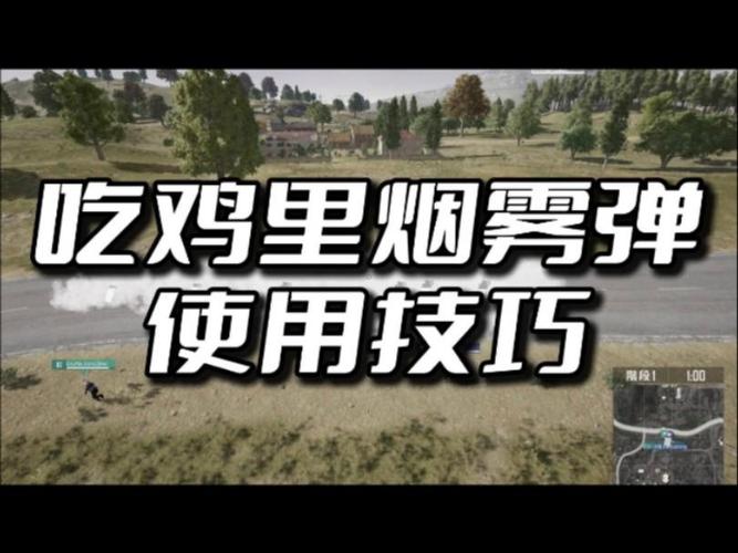 绝地求生烟雾弹使用技巧：如何穿越烟雾并有效辅助队友
