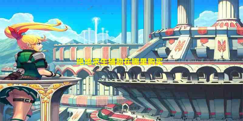 绝地求生辅助购买指南：权威平台推荐与安全购买技巧