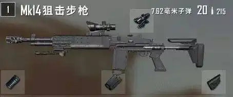 绝地求生大神枪配