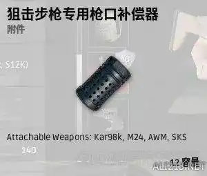 绝地求生大神枪配