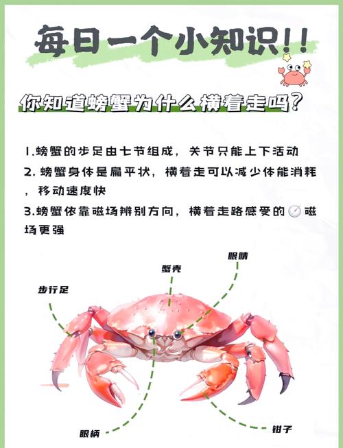 绝地求生外挂封号吗