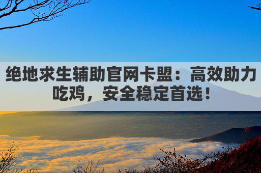 吃鸡黑号卡盟