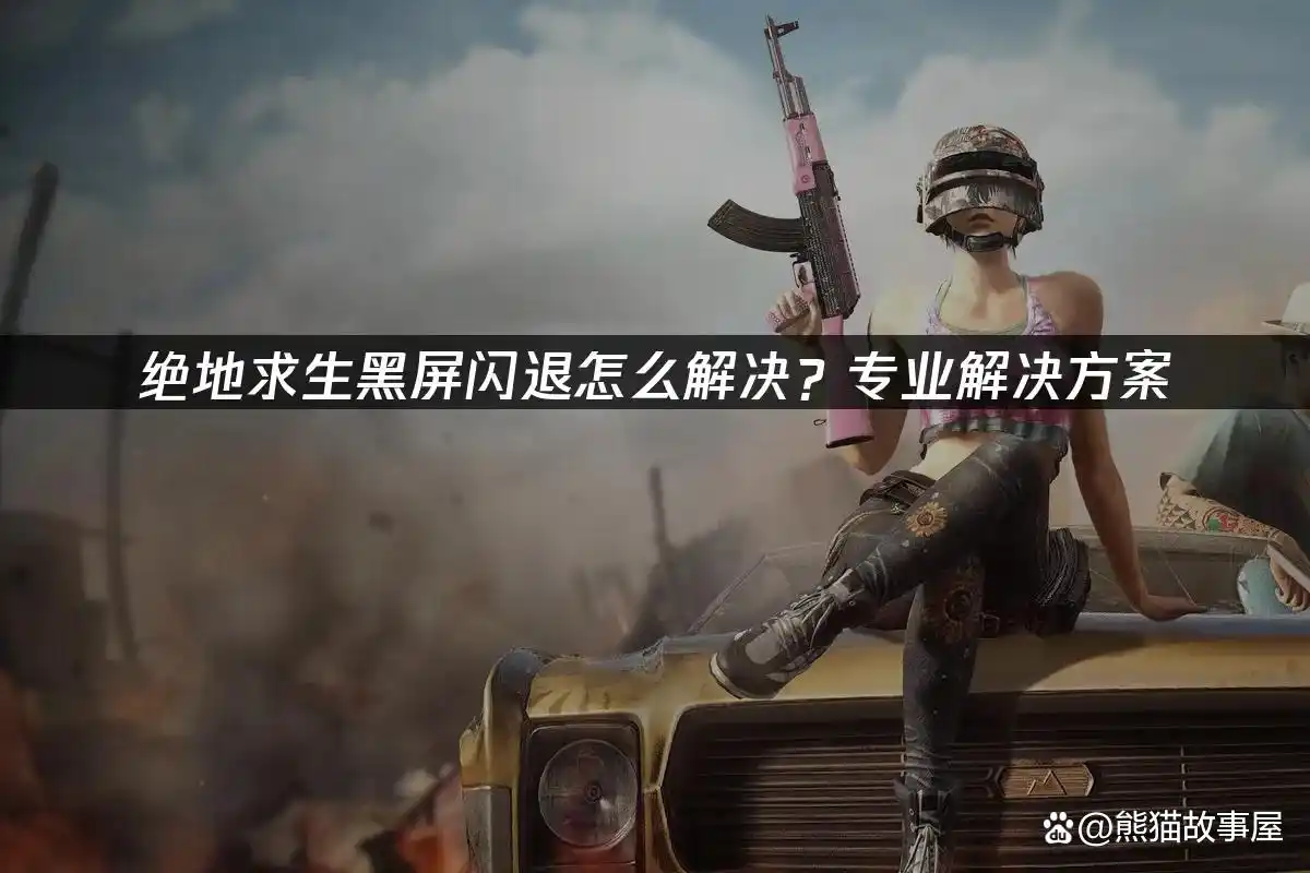 绝地求生辅助怎么用