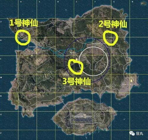 绝地求生最强枪配