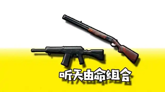 绝地求生最强枪配