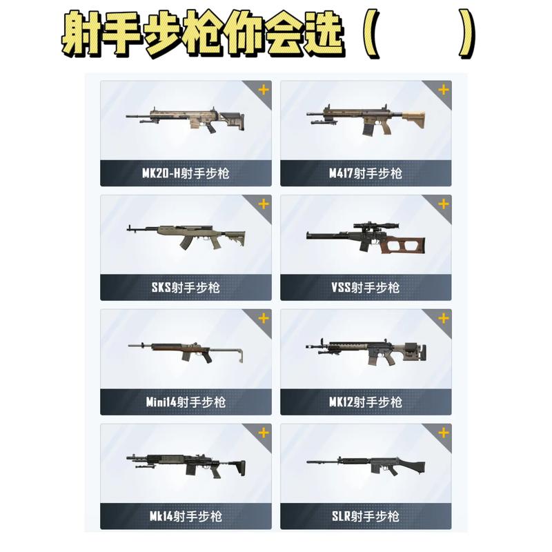 绝地求生最强枪配